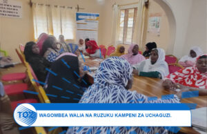 WAGOMBEA WALIA KUKOSA RUZUKU ZA KUFANYIA KAMPENI