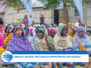 MUINGILIANO MKUBWA WA WAGENI WATAJWA KUCHANGIA KUPOROMOKA KWA MAADILI KIJIJINI MICHAMVI.