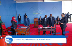 HIKI NDICHO ALICHO KIZUNGUMZA RAIS SAMIA UAPISHO WA NCHEMBA.